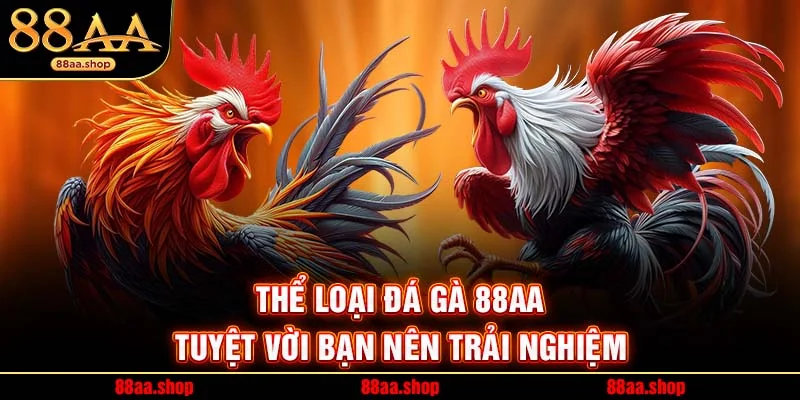 Thể loại đá gà 88AA tuyệt vời bạn nên trải nghiệm