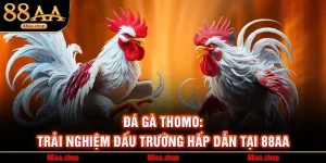 Đá Gà Thomo: Trải Nghiệm Đấu Trường Hấp Dẫn Tại 88AA