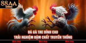 Đá Gà Thomo: Trải Nghiệm Đấu Trường Hấp Dẫn Tại 88AA