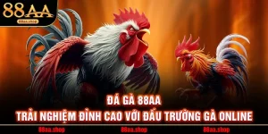 Đá Gà 88AA – Trải Nghiệm Đỉnh Cao Với Đấu Trường Gà Online