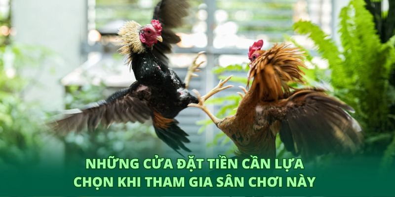 Những cửa đặt tiền cần lựa chọn khi tham gia sân chơi này